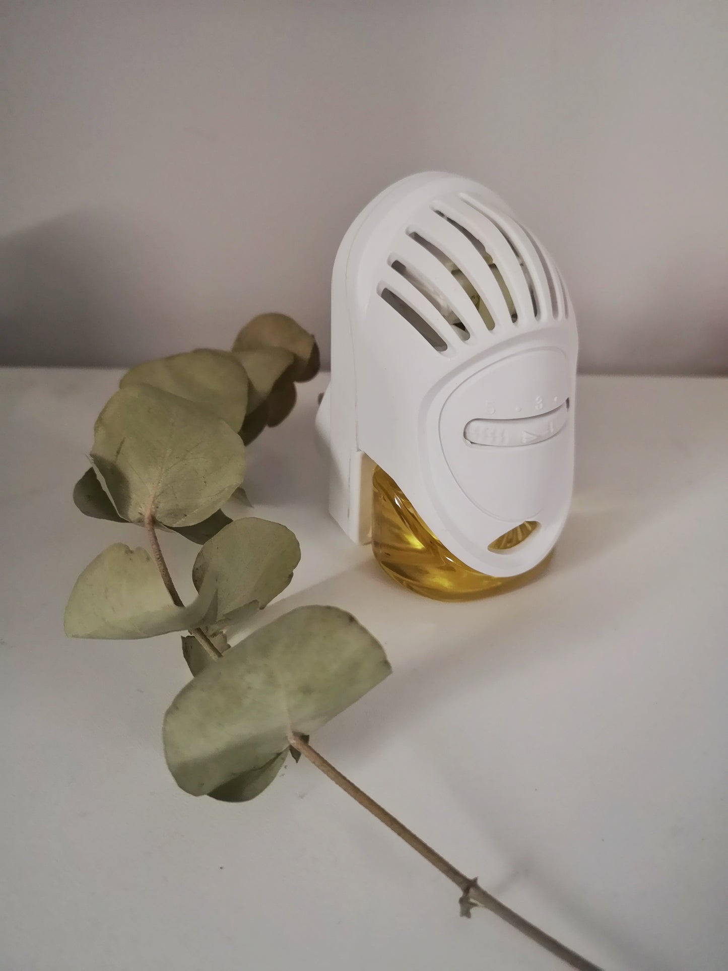 Luxury Plugin Air Fresheners (feminine, sweet, and spicy scents)