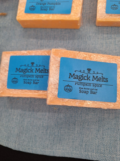 Pumpkin Spice "We All Go A Little Mad Sometimes" Shea Butter and Oat Hand Soap
